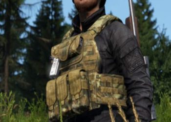 DayZ