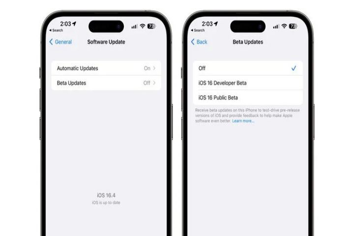 Developers and Public Beta Testers will be Able to opt into Betas in iOS 16.4 and iPadOS 16.4 directly from the Software Update Setting s_