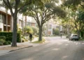 A quiet residential street in Santa Monica.